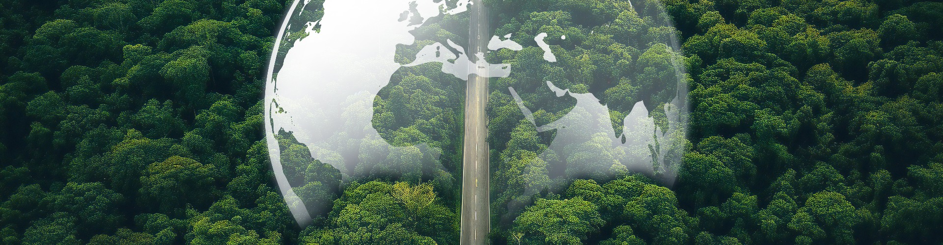 Wald für Nachhaltigkeit von E-Auto Batterie Recycling